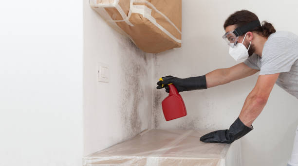 Professional Bathroom Mold Removal technician working in Currituck, NC